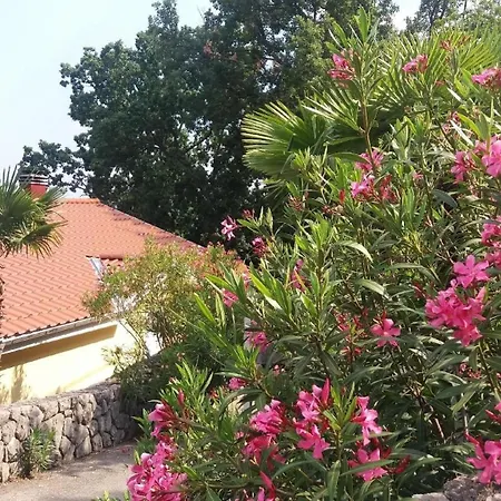 Oleandri1 Mit Blick Auf Wasser