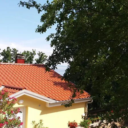 Oleandri1 Mit Blick Auf Wasser * Opatija